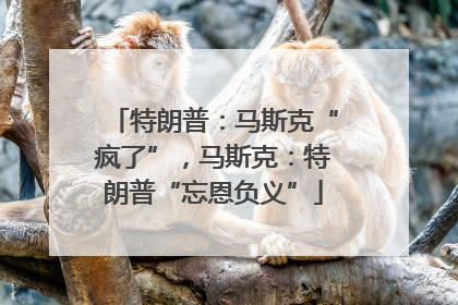 特朗普：马斯克“疯了”，马斯克：特朗普“忘恩负义”